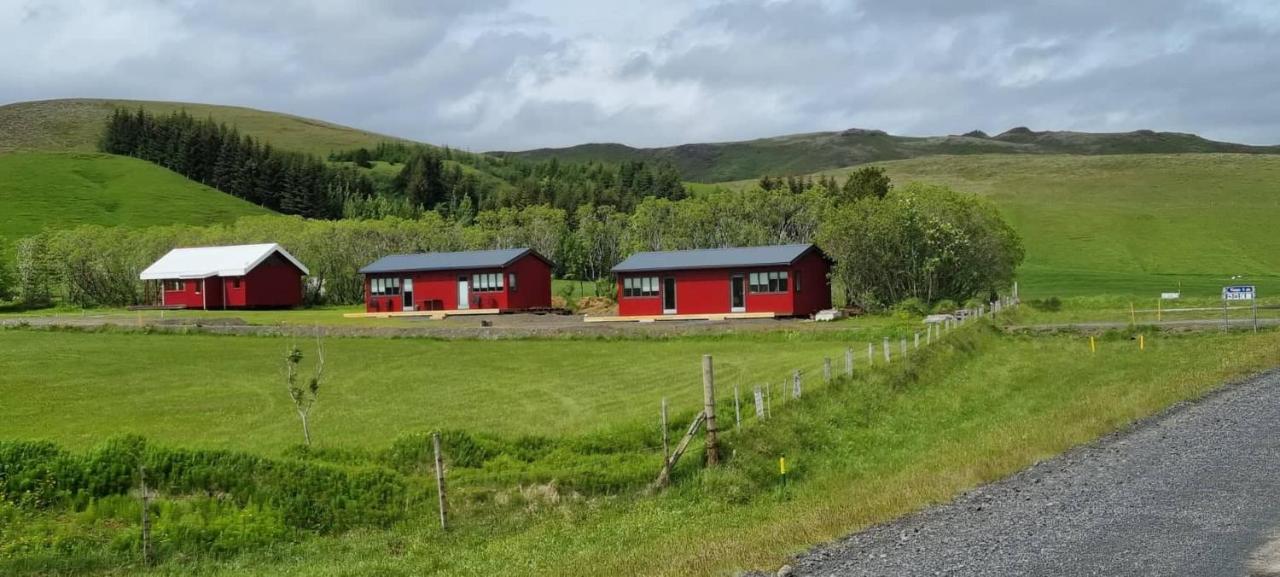 New And Well Furnished Studio Apartment For Two 30 Km From Kirkjubaejarklaustur Perfect Place To Stay At Right Between Black Beach And Joekulsarlon Extérieur photo
